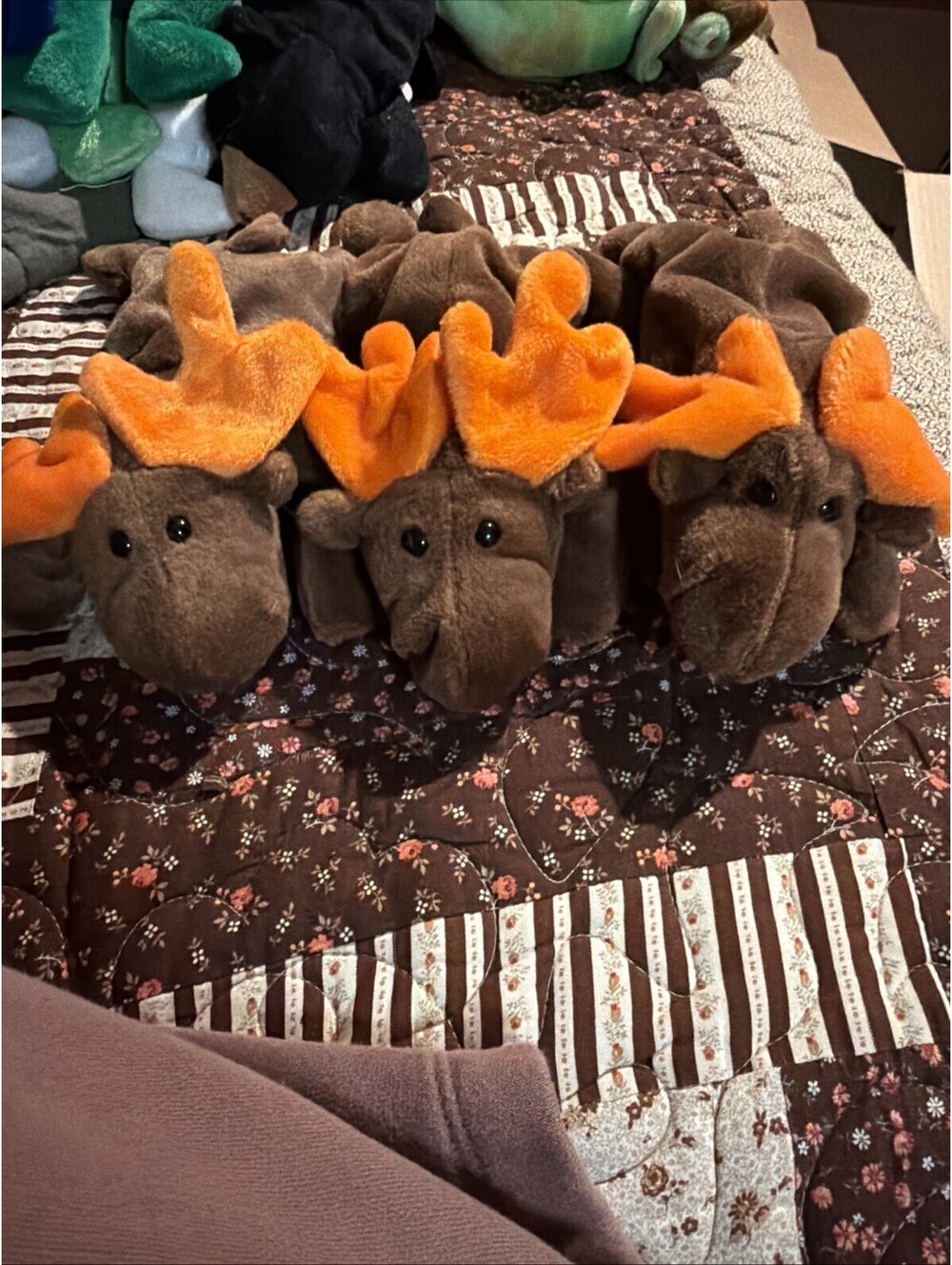 Ty Beanie Babies Chocolate the Moose Retired